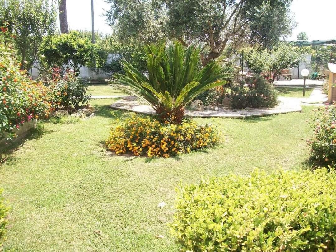 Il Giardino Degli Ulivi Lejlighed Giugliano In Campania Eksteriør billede