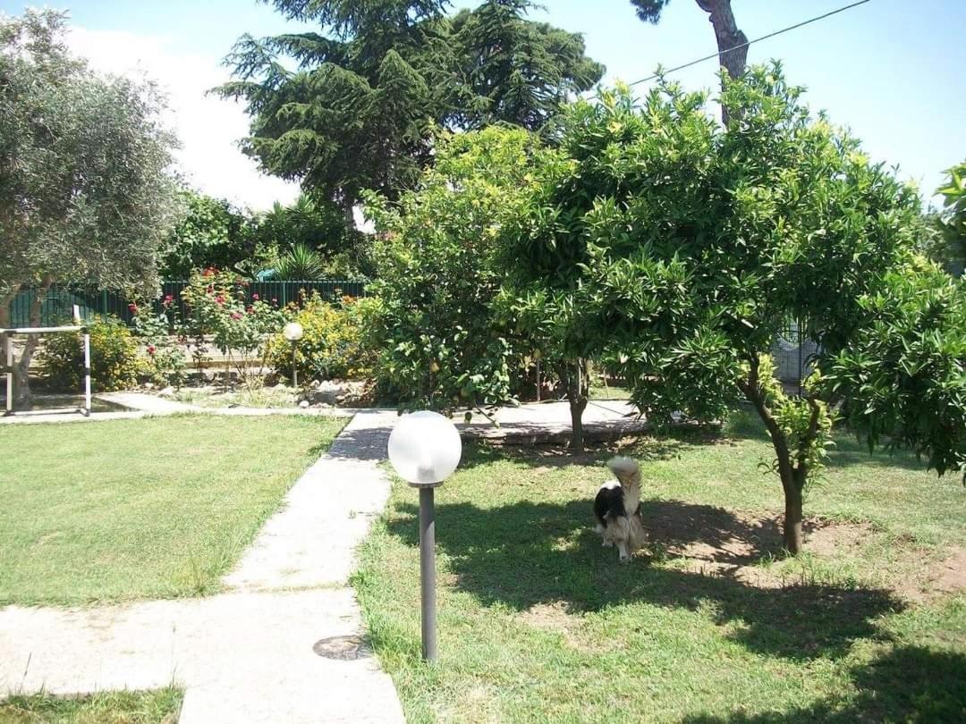Il Giardino Degli Ulivi Lejlighed Giugliano In Campania Eksteriør billede