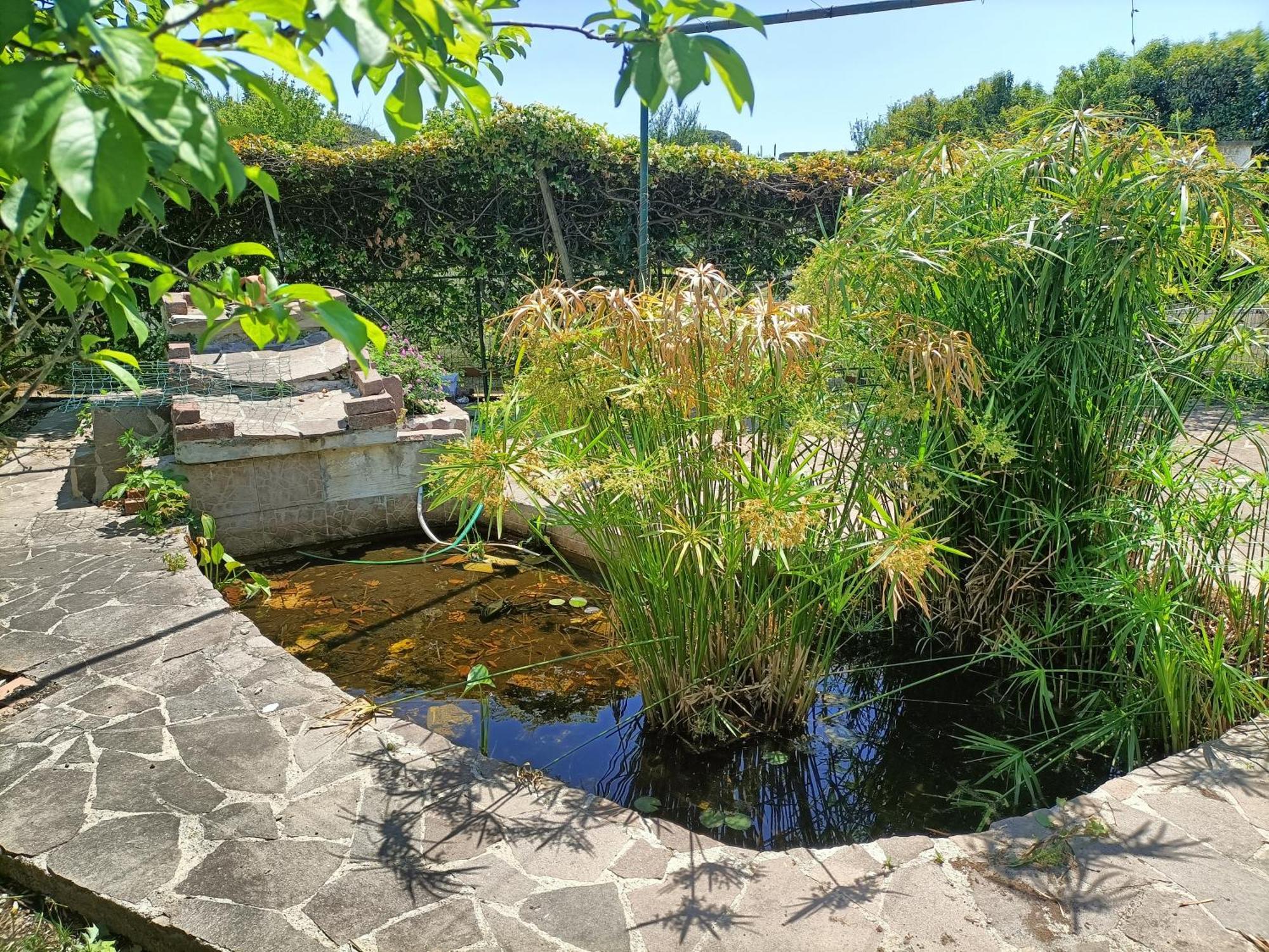 Il Giardino Degli Ulivi Lejlighed Giugliano In Campania Eksteriør billede
