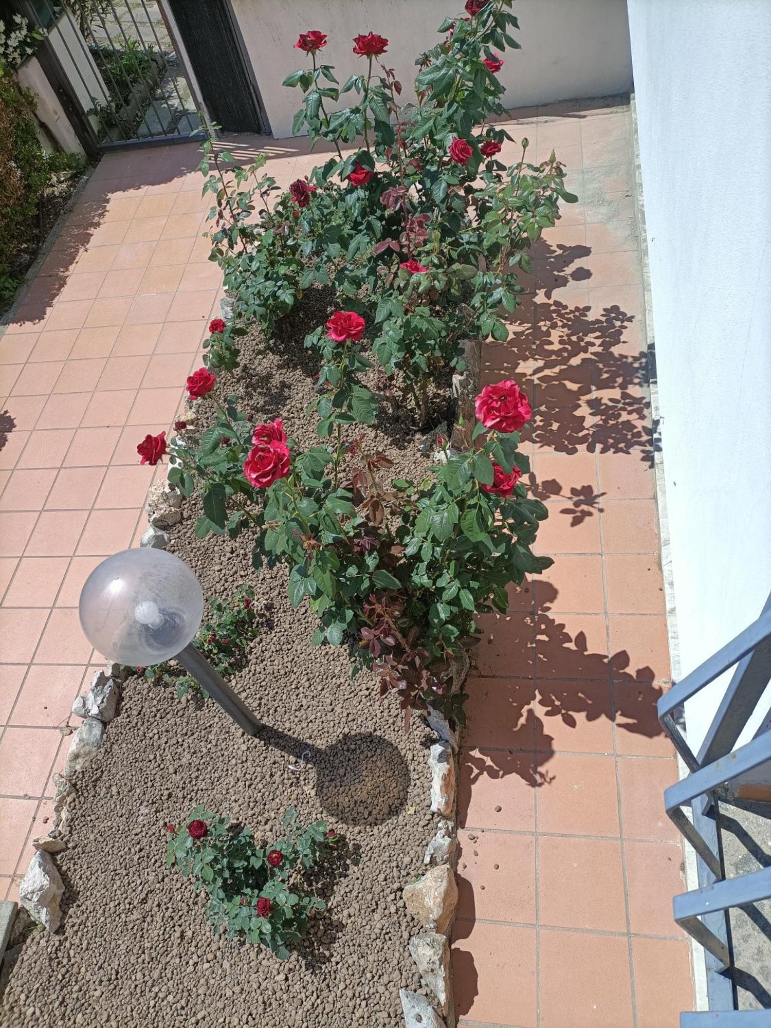 Il Giardino Degli Ulivi Lejlighed Giugliano In Campania Eksteriør billede